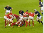 FZ025504 Rugby Wales vs Scotland.jpg